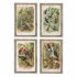 Tablou DKD Home Decor 45 x 2 x 65 cm Păsări Cottage (4 Piese)