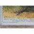 Tablou DKD Home Decor 45 x 2 x 65 cm Păsări Cottage (4 Piese)