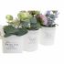 Odorizant DKD Home Decor Shabby Chic (3 Unități) (2 Unități)