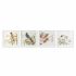 Tablou DKD Home Decor Pasăre Shabby Chic 60 x 2,5 x 60 cm (4 Unități)