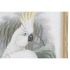 Tablou DKD Home Decor 50 x 2,8 x 70 cm Colonial Papagal (2 Unități)
