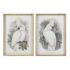Tablou DKD Home Decor 50 x 2,8 x 70 cm Colonial Papagal (2 Unități)