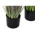 Plantă decorativă DKD Home Decor 40 x 40 x 150 cm Roz Liliachiu Polietilenă PVC (2 Unități)