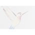 Paravan pliant DKD Home Decor Tropical Transparent Lemn MDF 150 x 2 x 180 cm
