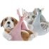 Figură Decorativă DKD Home Decor Multicolor Câine 18 x 12,5 x 16 cm (4 Unități)