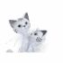 Figură Decorativă DKD Home Decor 15 x 10 x 29 cm Alb Pisici Romantic