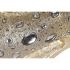 Figură Decorativă DKD Home Decor Leopard Rășină Colonial (82,5 x 23 x 21 cm)