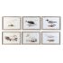 Tablou DKD Home Decor 70 x 2,5 x 50 cm Tradiţional Păsări (6 Piese)