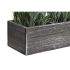 Plantă decorativă DKD Home Decor Lemn Polietilenă 32 x 14 x 19,5 cm (2 Unități)