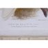 Pânză DKD Home Decor 50 x 2,8 x 65 cm 50 x 65 x 2.8 cm Papagal Cottage (4 Piese)