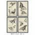 Tablou DKD Home Decor 40 x 2,8 x 60 cm 40 x 60 x 2.8 cm Fluturi Cottage (4 Piese)