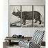 Tablou DKD Home Decor Colonial Rinocer (180 x 4 x 120 cm)
