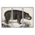 Pânză DKD Home Decor 3 Piese Modern (180 x 4 x 120 cm)