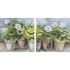 Tablou DKD Home Decor 80 x 3,5 x 80 cm Ghiveci Cottage (2 Unități)