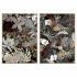 Tablou DKD Home Decor Tropical Frunza a unei plante 83 x 4,5 x 122,5 cm 83 x 4,5 x 123 cm (2 Unități)