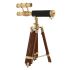 Figură Decorativă DKD Home Decor 24 x 17 x 34 cm Auriu* Maro Vintage