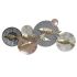 Decorațiune de Perete DKD Home Decor Metal Multicolor Pești (134 x 10 x 66 cm)