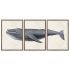 Set de 3 tablouri DKD Home Decor 150 x 2 x 70 cm Balenă