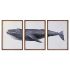 Set de 3 tablouri DKD Home Decor 150 x 2 x 70 cm Balenă