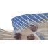 Figură Decorativă DKD Home Decor 40 x 5 x 18 cm Natural Albastru Pește Mediterană