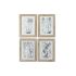Tablou DKD Home Decor Modern Plante botanice 30 x 2 x 40 cm (4 Unități)