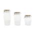 Set de 3 tuburi Home ESPRIT Transparent Silicon Bambus Geam 13,5 x 13,5 x 27 cm