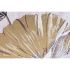 Tablou Home ESPRIT Frunza a unei plante Tradiţional 123 x 4,5 x 83 cm (2 Unități)