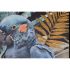 Tablou Home ESPRIT Papagal Tropical Lăcuit 50 x 3,5 x 70 cm (2 Unități)