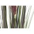 Plantă decorativă Home ESPRIT PVC Polietilenă 35 x 35 x 120 cm (2 Unități)