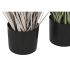 Plantă decorativă Home ESPRIT PVC Polietilenă 45 x 45 x 150 cm (2 Unități)