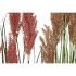 Plantă decorativă Home ESPRIT PVC Polietilenă 35 x 35 x 120 cm (2 Unități)