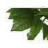 Copac Home ESPRIT Poliester Lemn 100 x 100 x 185 cm