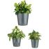 Set de ghivece Ibergarden CONICO-7011 Antracit Argilă Cónica Ø 14 cm Ø 22 cm Ø 17 cm 3 Piese