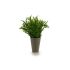 Ghiveci Ibergarden Verde Plastic 13 x 25 x 13 cm