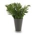 Ghiveci Ibergarden Verde Plastic 13 x 25 x 13 cm