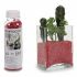 Pietre decorative