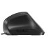 Mouse Ergonomic Optic Nilox MOUSB3013