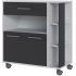 Coș de Bucătărie Eco Trolley Melamina ABS Alb/Gri (80 x 39 x 87 cm)
