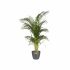 Ghiveci Elho 5642322542500 Antracit polipropilenă Plastic Rotund