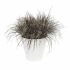 Ghiveci Elho Loft Urban Rotundă Alb Ø 40 cm