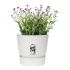 Ghiveci Elho 0464344715000 Alb Rotund