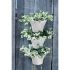 Ghiveci Elho 472112415000 Alb Dreptunghiular Modern Ø 26,7 x 29,7 cm