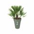 Ghiveci Elho Verde Ø 34 cm Plastic Rotund Modern