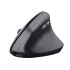 Mouse Trust 25146 Negru 2400 dpi