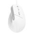 Mouse Ergonomic Optic Trust Bayo II Alb 2400 dpi