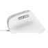 Mouse Ergonomic Optic Trust Bayo II Alb 2400 dpi
