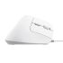 Mouse Ergonomic Optic Trust Bayo II Alb 2400 dpi