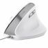 Mouse Ergonomic Optic Trust Bayo II Alb 2400 dpi