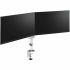 Suport de Masă pentru Ecran Neomounts DS60-425WH2 Alb 27