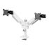 Suport de Masă pentru Ecran Neomounts DS65S-950WH2 34